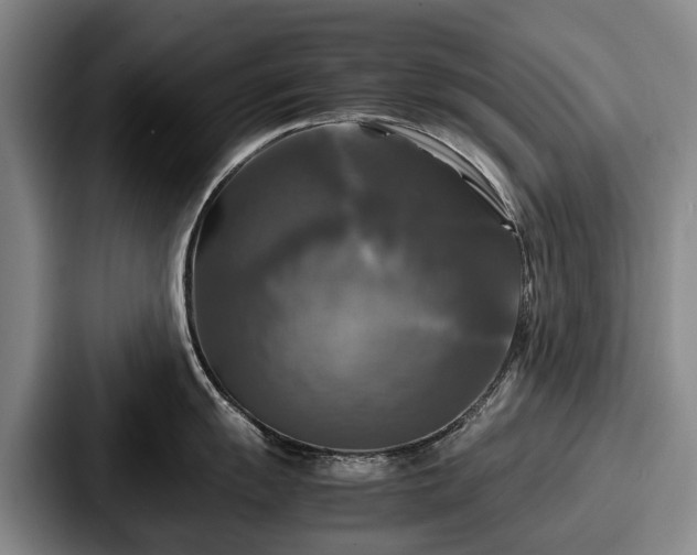 X0000087711055200705111418