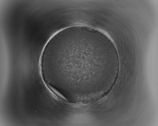 X0000087711056200705111418
