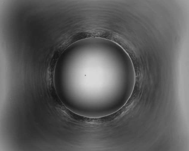 X0000087711058200705111417