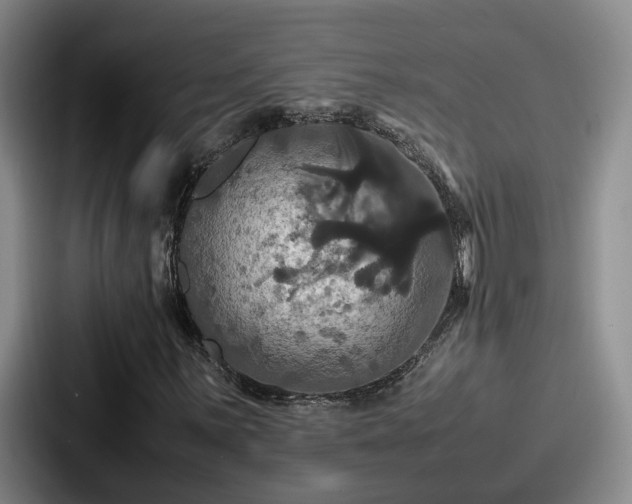 X0000087711059200705111417