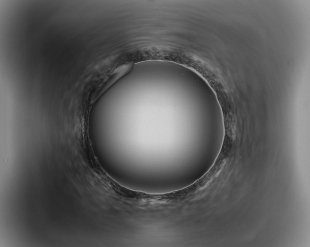 X0000087711061200705111417