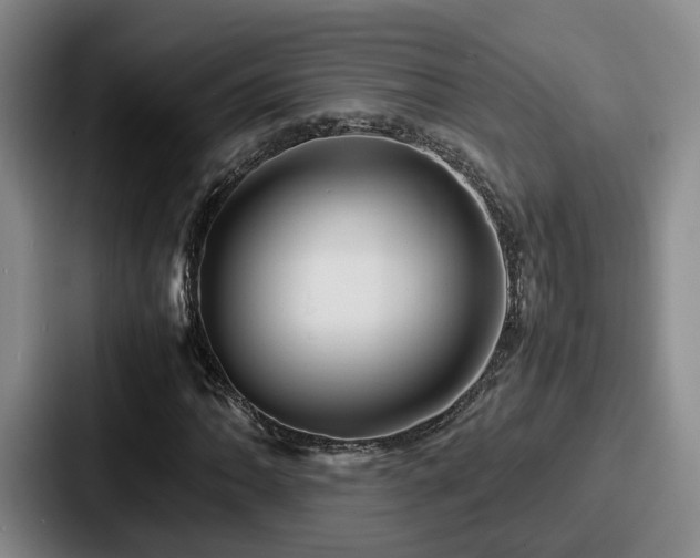 X0000087711062200705111417