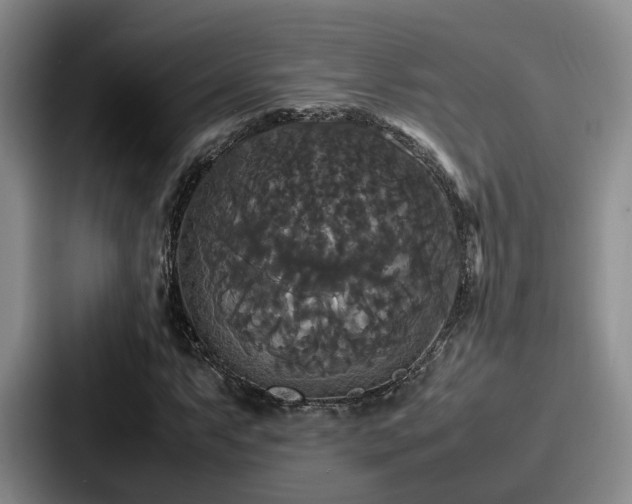 X0000087711063200705111417