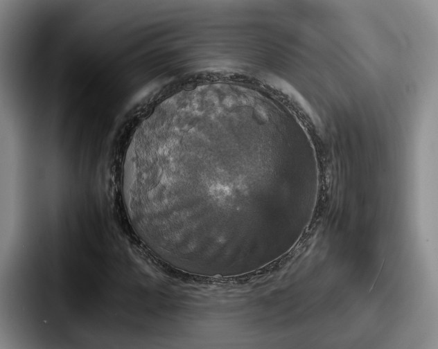 X0000087711064200705111417