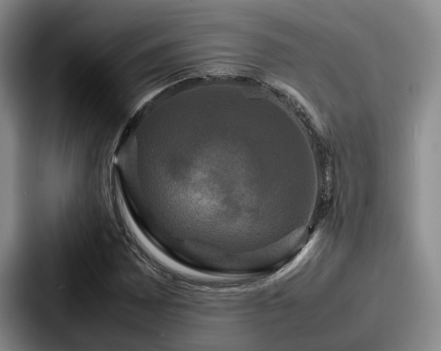X0000087711065200705111417