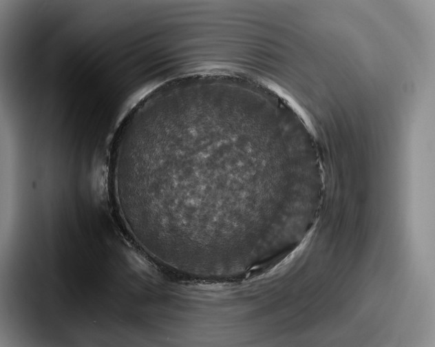 X0000087711066200705111417