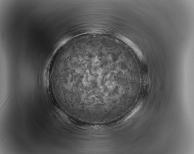 X0000087711067200705111417