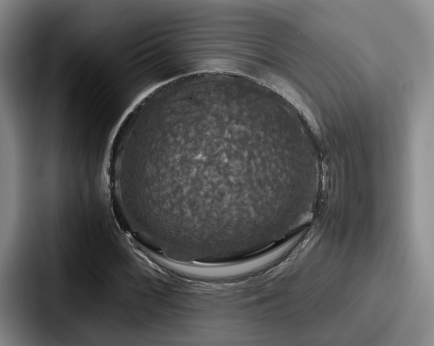 X0000087711068200705111417