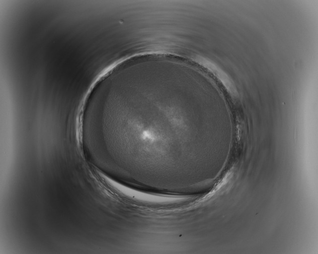 X0000087711069200705111417
