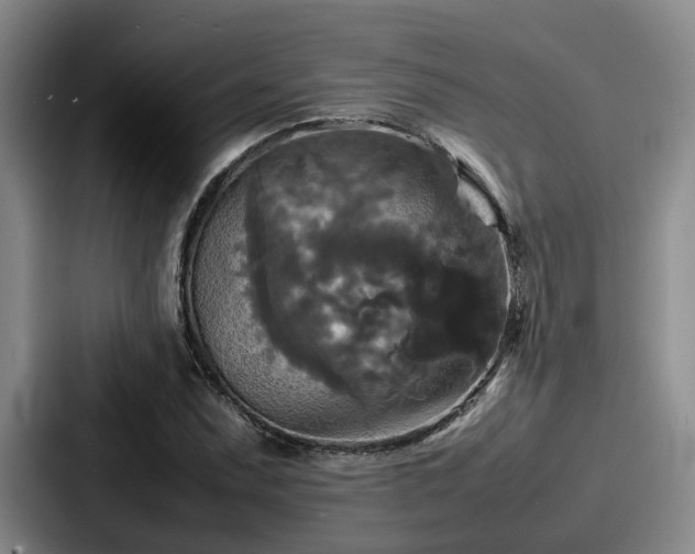 X0000087711071200705111417