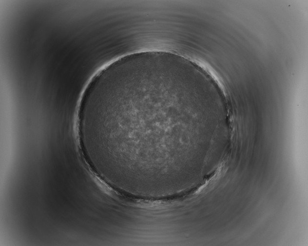 X0000087711072200705111417
