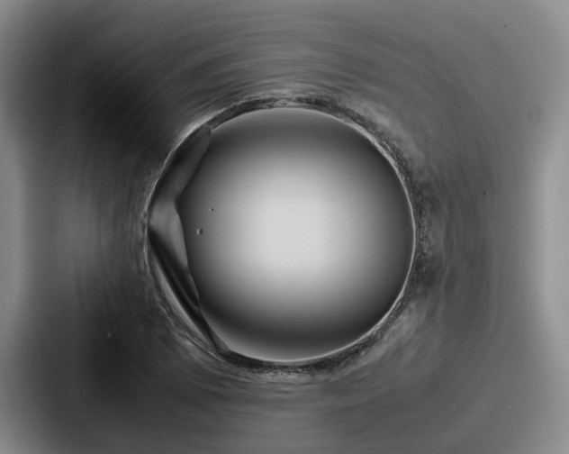 X0000087711073200705111417