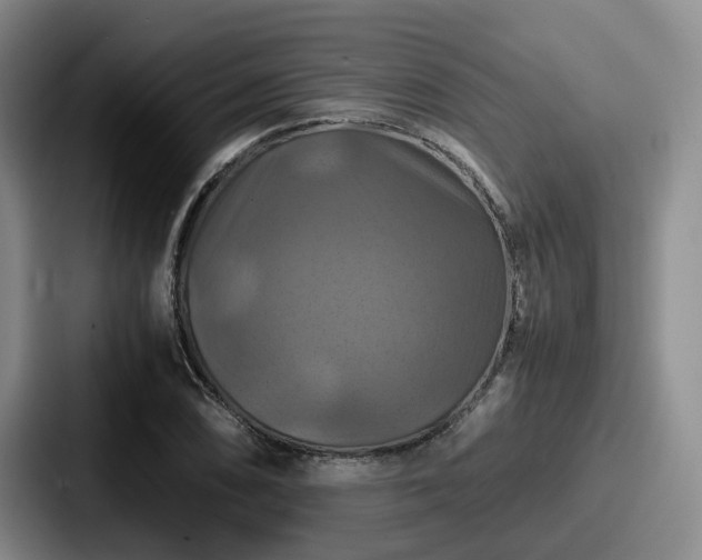X0000087711074200705111417