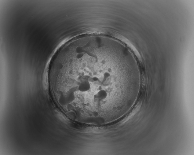 X0000087711075200705111417