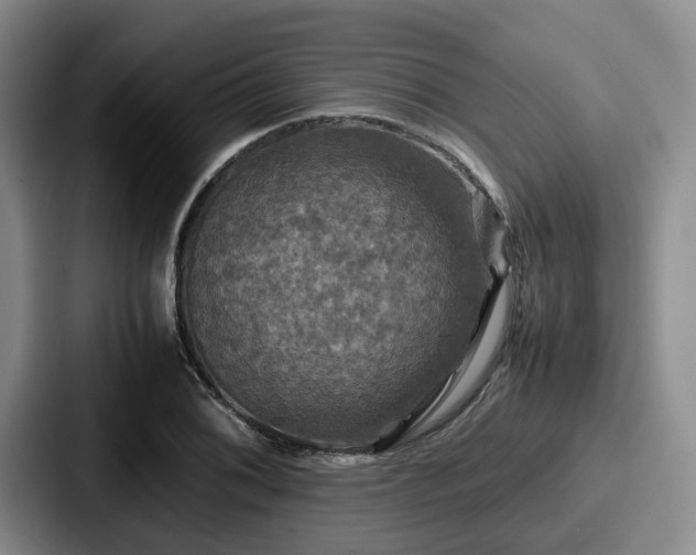 X0000087711076200705111417