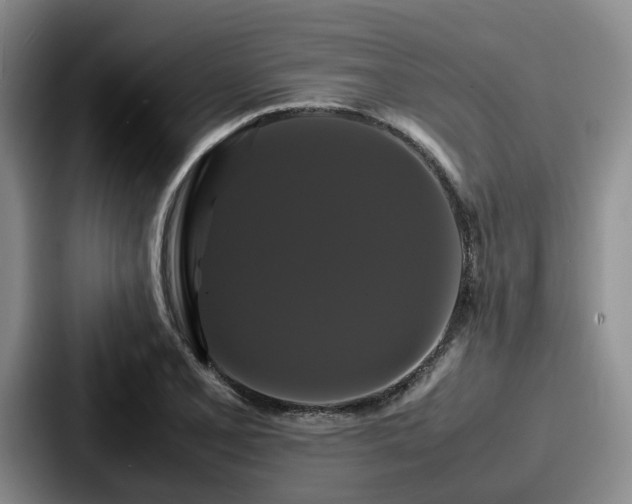 X0000087711077200705111417