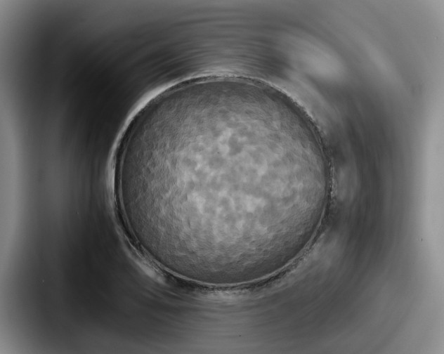 X0000087711078200705111417