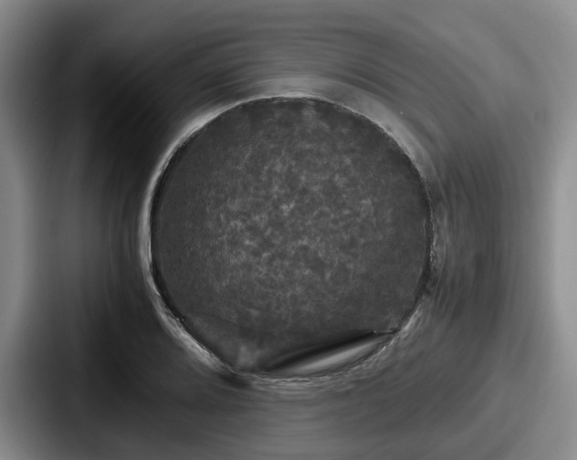 X0000087711080200705111417