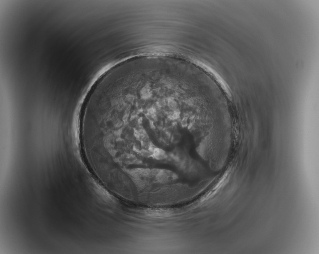 X0000087711083200705111417