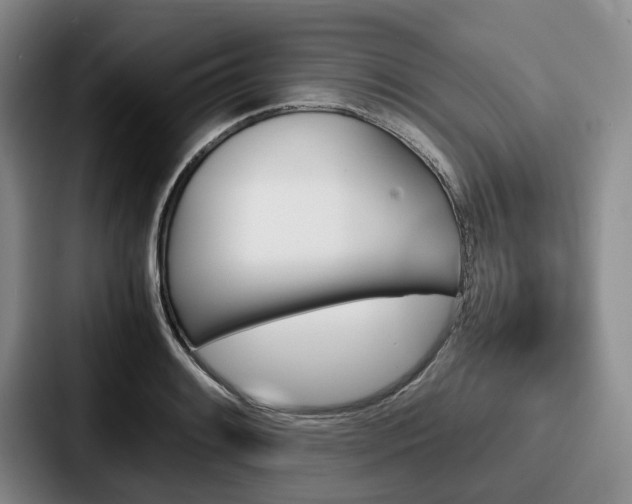 X0000087711084200705111417