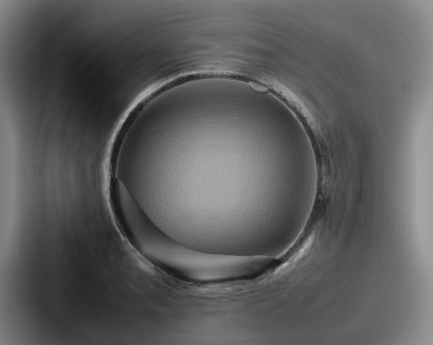 X0000087711085200705111417