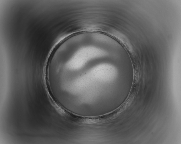 X0000087711086200705111417