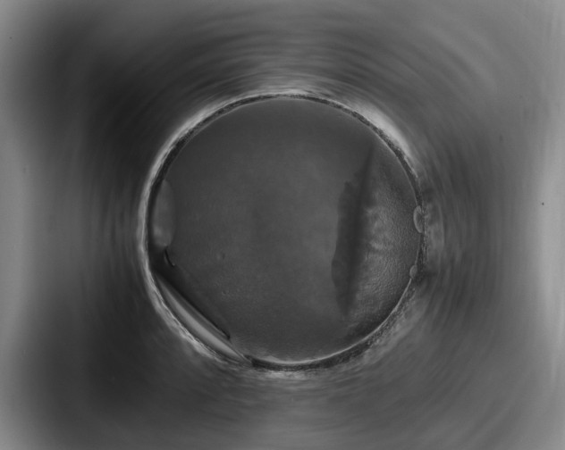 X0000087711088200705111417