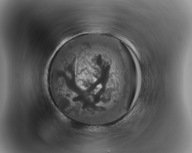 X0000087711091200705111417