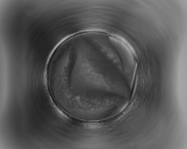 X0000087711092200705111417
