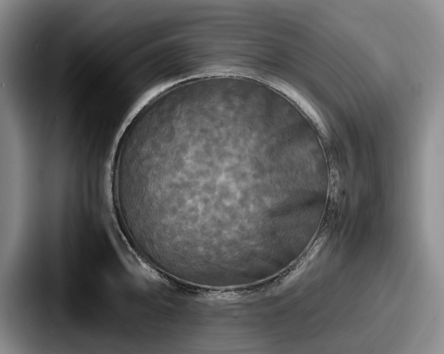 X0000087711094200705111417