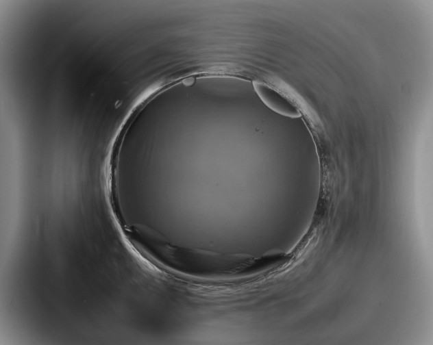 X0000087711095200705111417