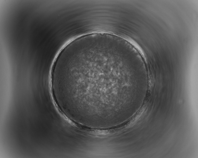 X0000087711096200705111417