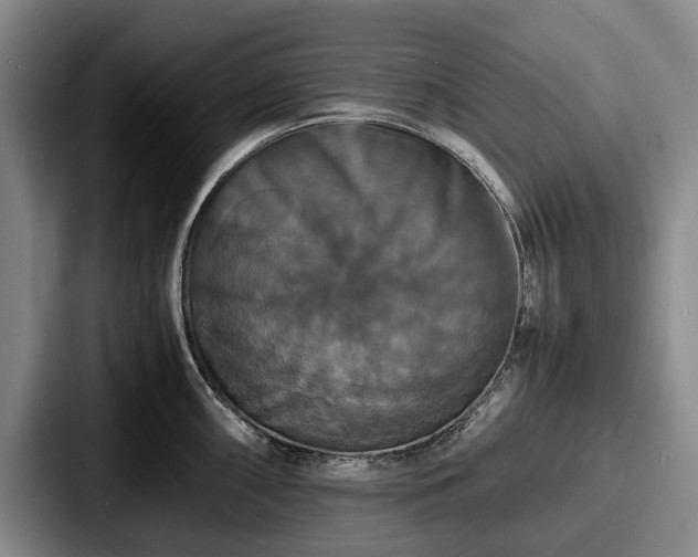 X0000087711098200705111417