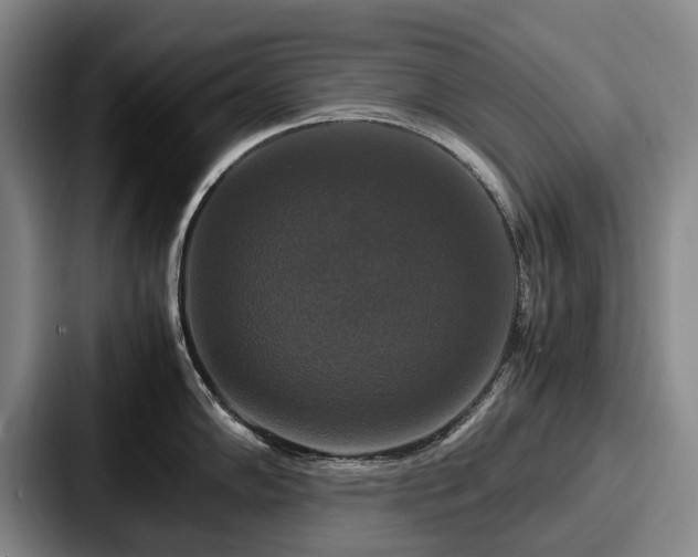 X0000087711102200705111416