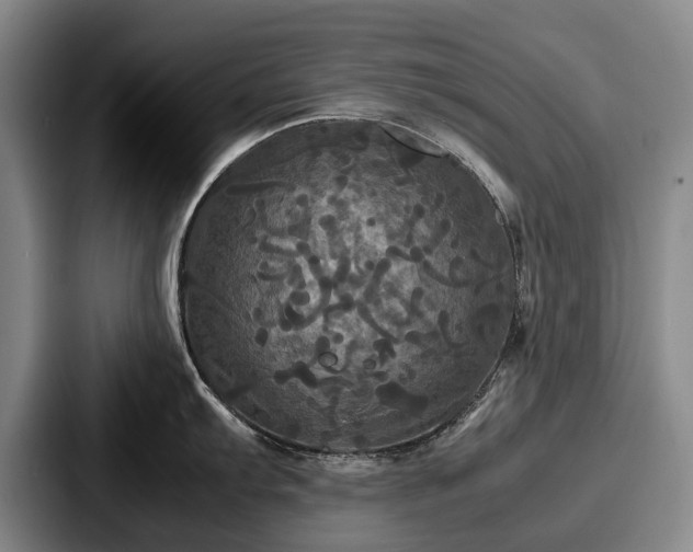 X0000087711103200705111416