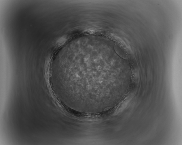 X0000087711105200705111416