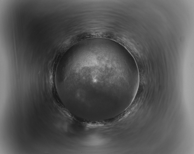 X0000087711106200705111416