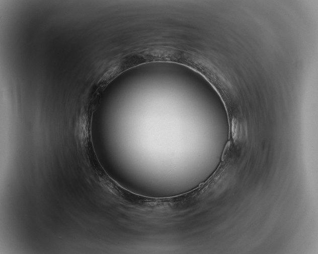 X0000087711107200705111416