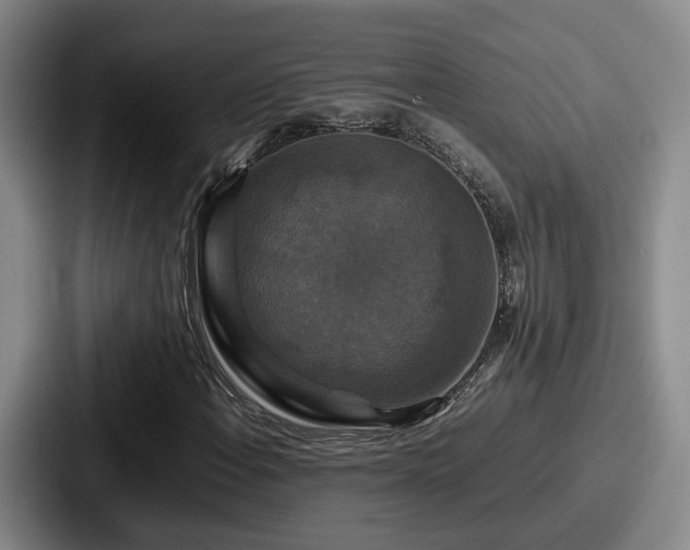 X0000087711108200705111416