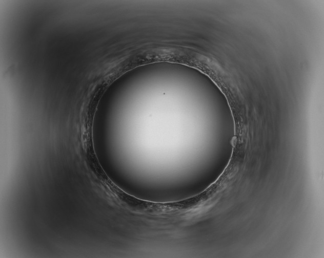 X0000087711109200705111416