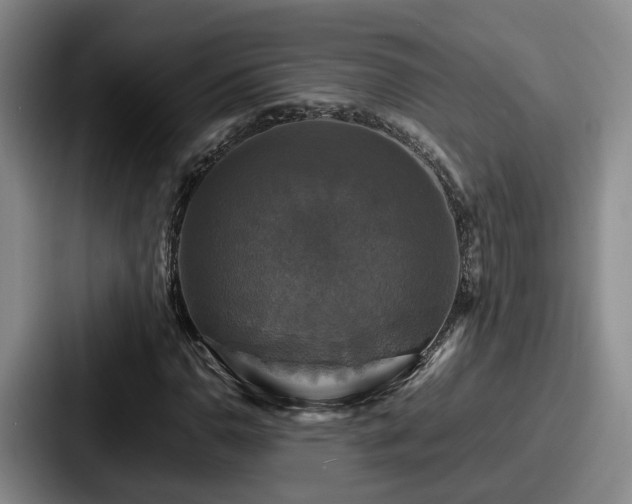 X0000087711110200705111416