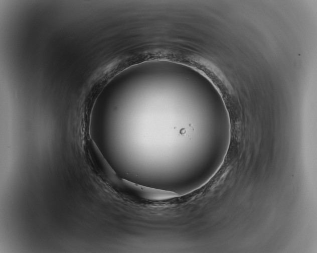 X0000087711111200705111416