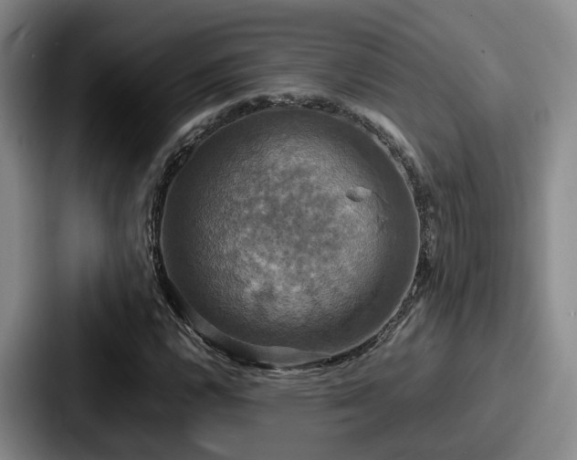X0000087711112200705111416