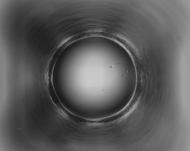 X0000087711113200705111416