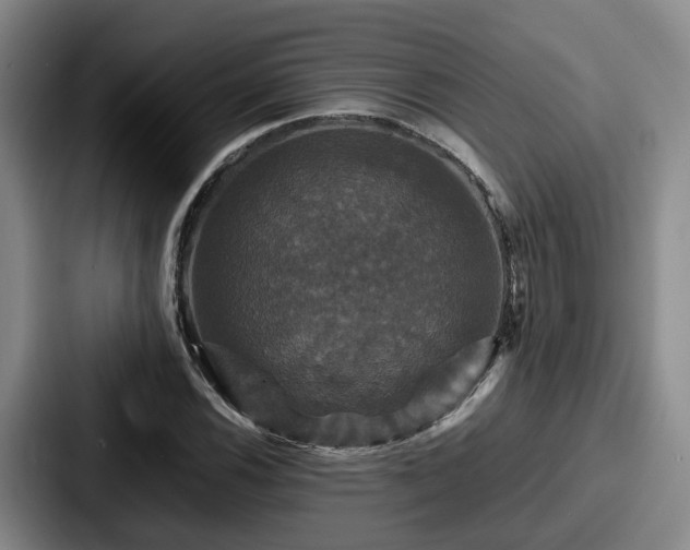 X0000087711116200705111416