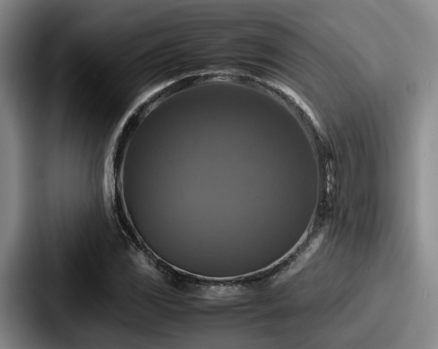 X0000087711117200705111416