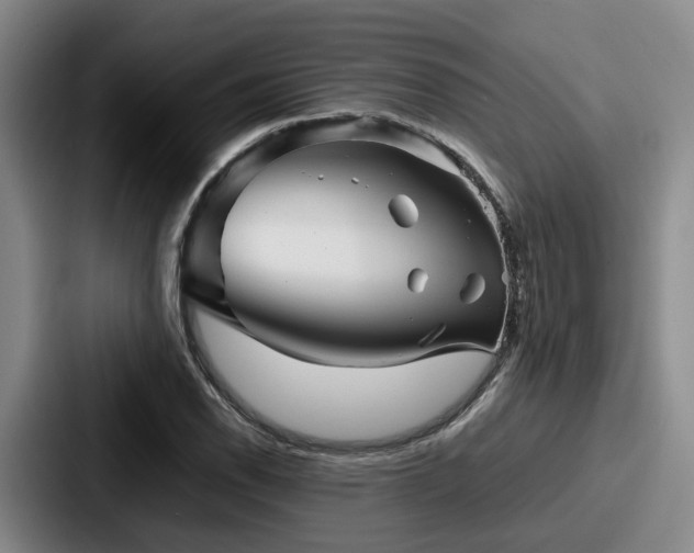 X0000087711118200705111416