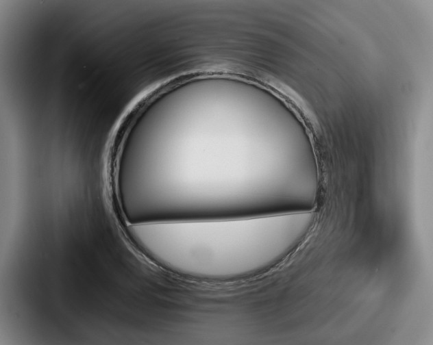 X0000087711120200705111416
