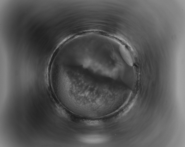 X0000087711121200705111416