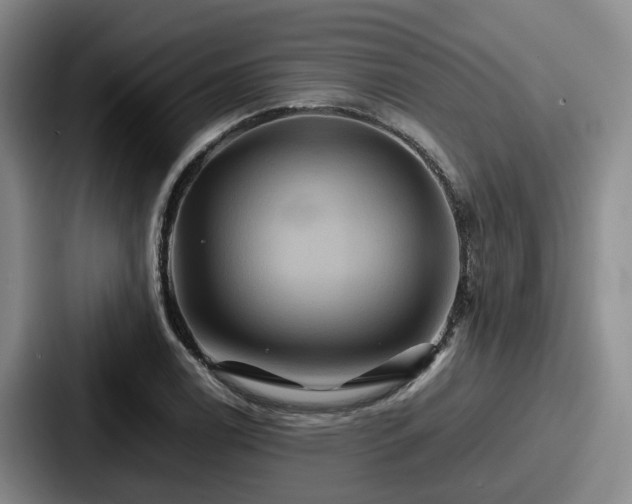 X0000087711122200705111416